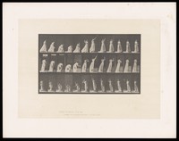 view A clothed woman bends to pick up a ball from the ground with her right hand, raises it to shoulder height, throws it, then lowers her arm. Collotype after Eadweard Muybridge, 1887.