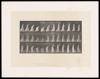 view A clothed woman bends to pick up a ball from the ground with her right hand, raises it to shoulder height, throws it, lowers her arm to her side, turns and smiles. Collotype after Eadweard Muybridge, 1887.