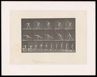 view A naked man throws a rock with his right hand, briefly jumping as he does, landing on his right leg, leaning forwards, his left leg and right arm stretched out. Collotype after Eadweard Muybridge, 1887.