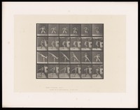 view A naked man holds a rock at shoulder height, leans forward to throw it, standing on his right leg as he does. Collotype after Eadweard Muybridge, 1887.