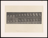 view A man in a posing pouch bends, picks up a rock, lifts it to shoulder height and supports it with his right hand. Collotype after Eadweard Muybridge, 1887.