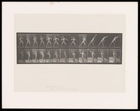 view A man in a posing pouch lifts a rock from chest to shoulder height, throws it upwards with his right hand, leaning forwards and stnading on his left leg as he does. Collotype after Eadweard Muybridge, 1887.