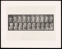 view A man in a posing pouch holds a dumb-bell in his right hand, straightening up as he raises it from knee height to shoulder height. Collotype after Eadweard Muybridge, 1887.