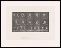 view Two men in posing pouches stand, facing one another: one grasps the other, forcing him backwards towards the ground. Collotype after Eadweard Muybridge, 1887.