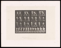 view Two men in posing pouches and boxing gloves stand, facing one another, arms raised: one hits the other's left shoulder then backs away. Collotype after Eadweard Muybridge, 1887.