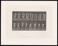 view Two men in posing pouches face one another and exchange blows. Collotype after Eadweard Muybridge, 1887.