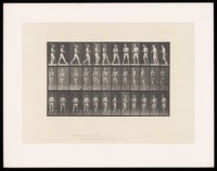 view A man in a loin cloth carries a rifle in his right hand, leaning against his shoulder: he walks, turns and walks back. Collotype after Eadweard Muybridge, 1887.