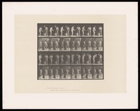 view Two naked men stand at an anvil: one holds a piece of curved metal and both pound it with hammers. Collotype after Eadweard Muybridge, 1887.