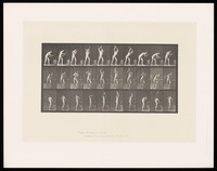 view A man in a posing pouch stands at an anvil, raises a hammer above his head, brings it down, striking the anvil. Collotype after Eadweard Muybridge, 1887.