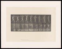 view A naked man carries a wooden beam on his right shoulder then drops it onto the ground. Collotype after Eadweard Muybridge, 1887.