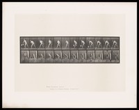 view A naked man picks up a bucket of water and spills it. Collotype after Eadweard Muybridge, 1887.