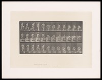 view A naked woman steps out of a bath and dries her feet, sitting on a chair. Collotype after Eadweard Muybridge, 1887.