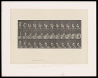 view A semi-naked woman sits on a chair and puts on a stocking. Collotype after Eadweard Muybridge, 1887.