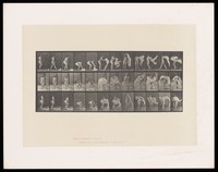 view A clothed woman sitting on a chair puts on a shoe then stands up. Collotype after Eadweard Muybridge, 1887.