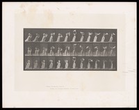 view A semi-naked woman waves a length of cloth around her shoulders and turns. Collotype after Eadweard Muybridge, 1887.