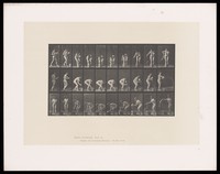 view A naked woman rinses a glass in a bucket of water. Collotype after Eadweard Muybridge, 1887.