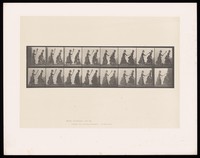 view Two clothed women walking: one hits the other twice with a broom. Collotype after Eadweard Muybridge, 1887.