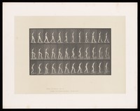 view A naked woman walks on the level, up steps and up an incline. Collotype after Eadweard Muybridge, 1887.