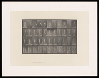 view A naked man plays tennis, mounts steps, walks down steps and climbs a ladder. Collotype after Eadweard Muybridge, 1887.