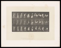 view A clothed woman undresses to her underwear. Collotype after Eadweard Muybridge, 1887.