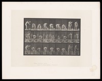 view A nearly naked man bricklaying. Collotype after Eadweard Muybridge, 1887.