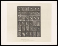 view A naked man throws things. Collotype after Eadweard Muybridge, 1887.