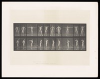 view A naked man stretches his arms and clasps his hands behind his head. Collotype after Eadweard Muybridge, 1887.