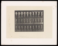 view A naked man clasps his hands behind his head. Collotype after Eadweard Muybridge, 1887.