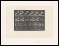 view Two hands, clasping one another. Collotype after Eadweard Muybridge, 1887.