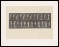 view A naked man with hemiplegia, walking with a crutch. Collotype after Eadweard Muybridge, 1887.