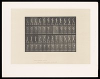 view A naked man with motor neuron disease, walking. Collotype after Eadweard Muybridge, 1887.