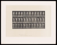 view A naked man stands still, then waves his arms around. Collotype after Eadweard Muybridge, 1887.