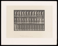 view A naked man walks with a cane. Collotype after Eadweard Muybridge, 1887.