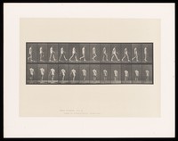 view A man in a t-shirt but no trousers, walking. Collotype after Eadweard Muybridge, 1887.