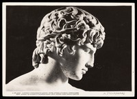 view Antinous. Photograpic postcard by N. Stournaras, 1968.