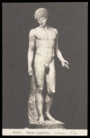 view Antinous. Photographic postcard, 191-.