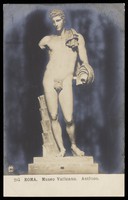 view Antinous. Photographic postcard, 191-.