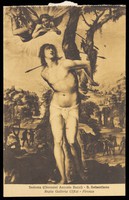 view Saint Sebastian. Process print after G.A. Bazzi, il Sodoma, 192-.