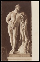 view The Farnese Hercules. Photographic postcard, 192-.