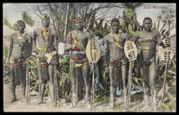 view Five Zulu men standing in a line holding shields. Colour process print, ca. 1909.