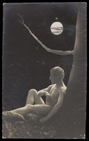 view A naked man sits under a tree in the moonlight. Photographic postcard, 190-.