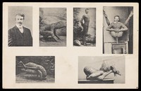 view A contortionist wearing a frog costume, in several poses. Process print, 190-.