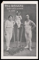 view The Brauers Trio, a family of acrobats. Process print, 191-.