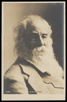 view Walt Whitman. Photographic postcard after N. Sarony, 190-.