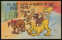 view A group of 'gay' dogs. Colour process print, 194-/195-.