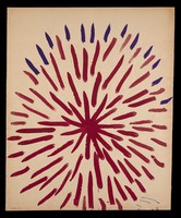 view A bursting star. Watercolour by M. Bishop, 1967.