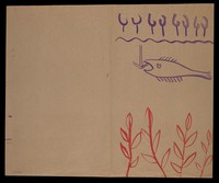 view A purple fish biting at a hook, and purple trees; red plants. Watercolour by M. Bishop, ca. 1977.