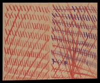 view Left, red diagonals crossed though diagonally; right, red and purple diagonals and saltires crossed though vertically and diagonally. Watercolour by M. Bishop, ca. 1977.