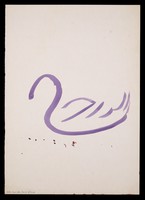 view A swan. Watercolour by M. Bishop, 1975.