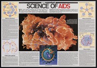 view Science of AIDS / [from] articles by Michael Koch and Andrew Scott ; Steve Connor, Sharon Kingman and Gail Vines wrote the remaining text ; illustrations by Peter Gardiner ; design by Colin Brewster.